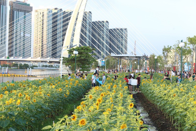 TPHCM: Biển người đổ về trung tâm xem pháo hoa chào đón năm mới- Ảnh 12.