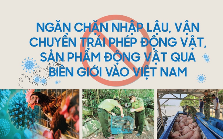 Infographics: Ngăn chặn nhập lậu, vận chuyển trái phép động vật, sản phẩm động vật qua biên giới vào Việt Nam