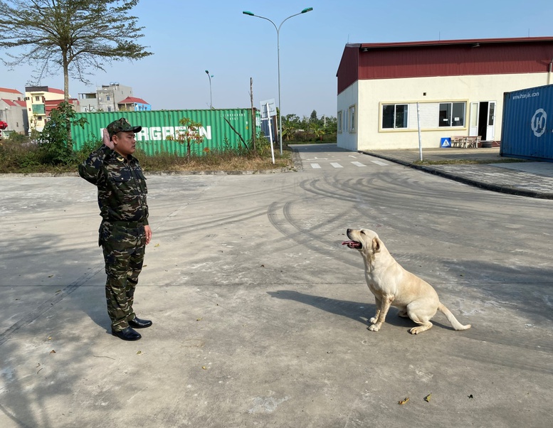 Chó nghiệp vụ - ‘trợ thủ’ đắc lực của hải quan trong phòng chống ma túy- Ảnh 6.