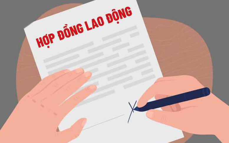 Infographics: Các trường hợp ký hợp đồng lao động trong cơ quan hành chính, đơn vị sự nghiệp công lập