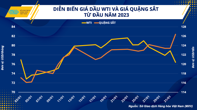 Quặng sắt, dầu thô: Đâu là hàng hóa có bước chạy đà tốt từ đầu năm tới nay? - Ảnh 1.