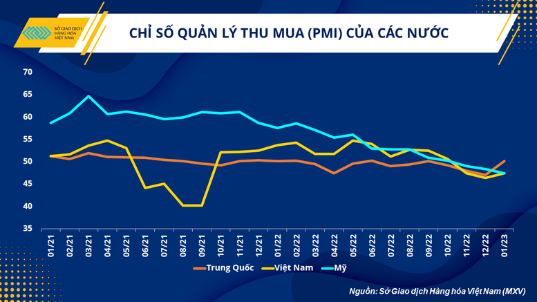 Quặng sắt, dầu thô: Đâu là hàng hóa có bước chạy đà tốt từ đầu năm tới nay? - Ảnh 2.