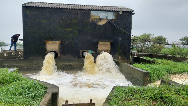 Quảng Trị: Triển khai các biện pháp cứu lúa bị ngập úng - Ảnh 2.