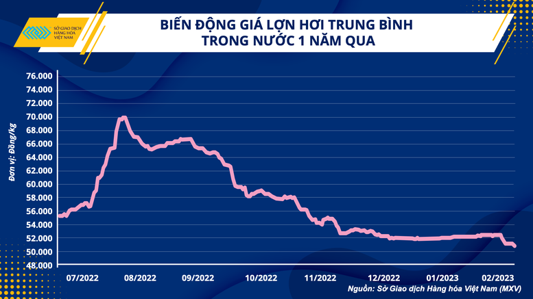 Ngành chăn nuôi và bài toán vượt khó trong quý I/2023 - Ảnh 2.