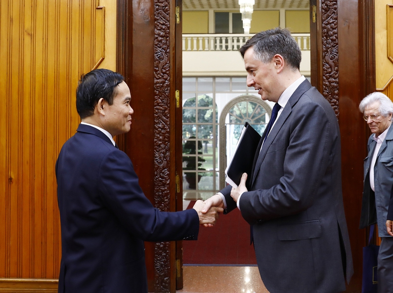 Phó Thủ tướng Trần Lưu Quang tiếp Chủ tịch Ủy ban Đối ngoại Nghị viện châu Âu - Ảnh 1.