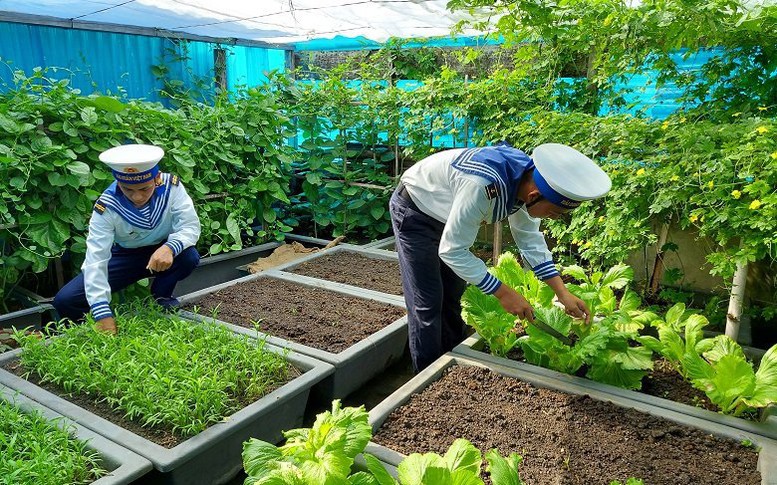 Chiến sĩ Hải quân chung tay 'xanh hóa' Trường Sa