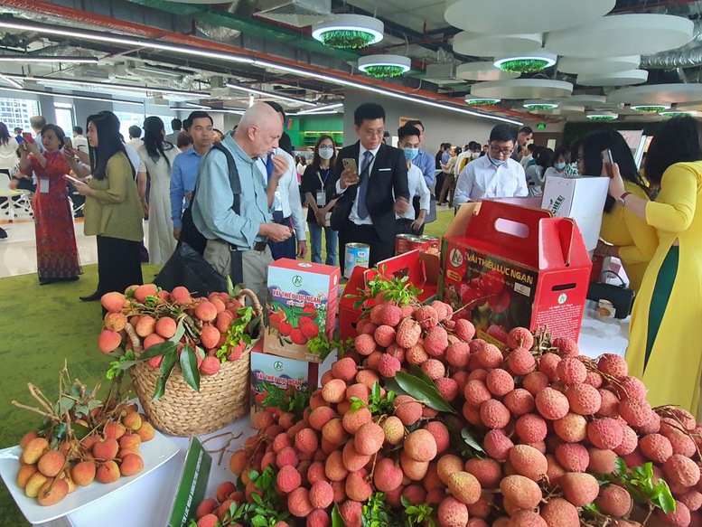 Bắc Giang: Thúc đẩy bảo hộ nông sản chủ lực ra nước ngoài - Ảnh 1.