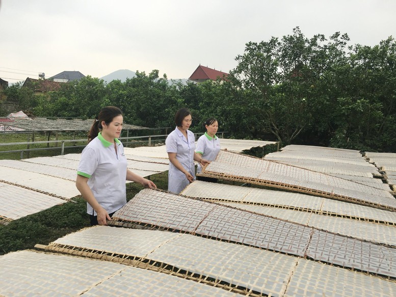 Bắc Giang: Thúc đẩy bảo hộ nông sản chủ lực ra nước ngoài - Ảnh 2.