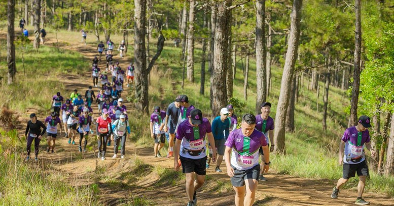 Từ 3/3, tổ chức giải chạy Dalat Ultra Trail 2023 - Ảnh 1.