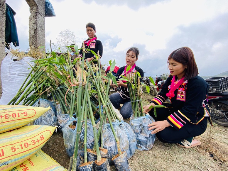 Những vành đai xanh, hàng rào 'mềm' nơi biên cương - Ảnh 2.