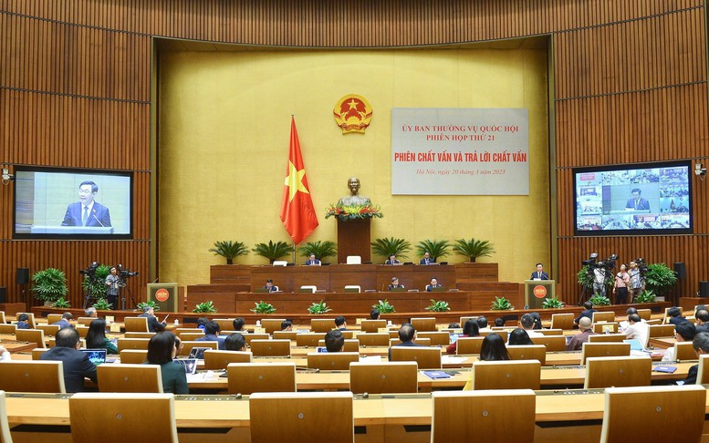 Vấn đề được lựa chọn chất vấn là đúng và trúng