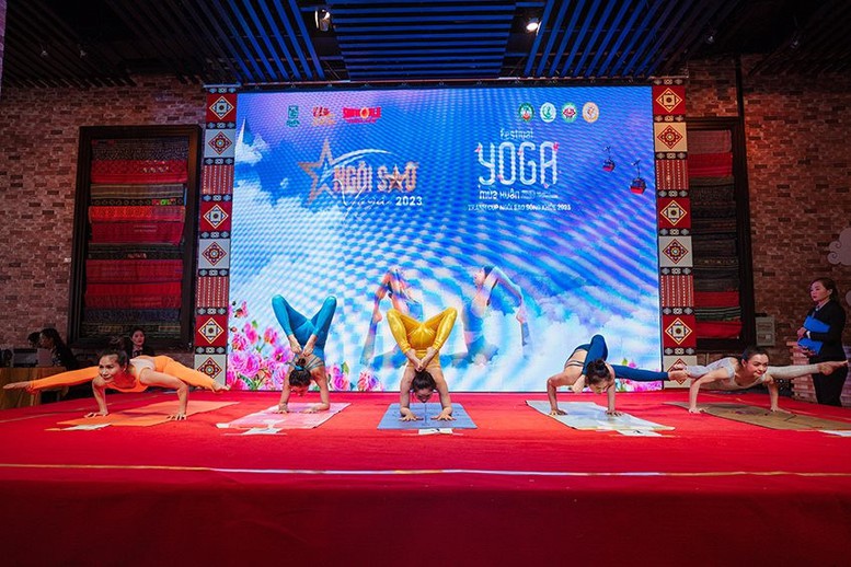 Festival Yoga mùa Xuân-Hướng đến sống khỏe, sống tích cực - Ảnh 3.