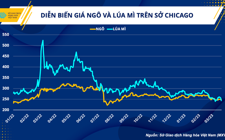 Ngành chăn nuôi và triển vọng khởi sắc sau 3 năm dịch bệnh