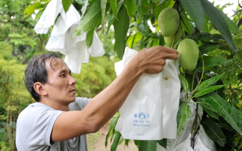 Địa phương tự quản lý mã số vùng trồng, cơ sở đóng gói nông sản phục vụ xuất khẩu