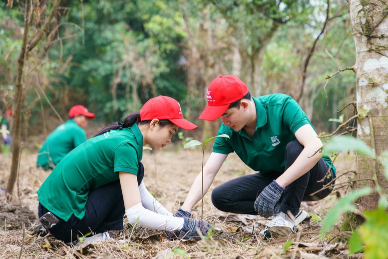 Nestlé Việt Nam cùng người tiêu dùng hành động chống lại biến đổi khí hậu, vì mục tiêu phát triển bền vững - Ảnh 2.