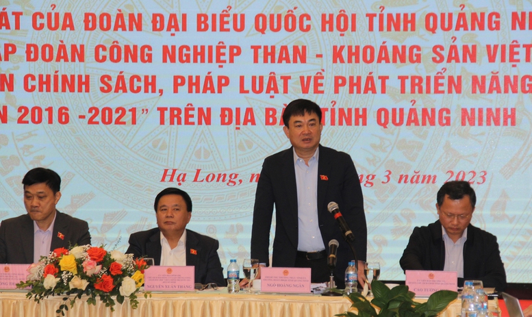 Hoàn thiện cơ chế, chính sách để ngành than phát triển, thực hiện vai trò trụ cột an ninh năng lượng Quốc gia - Ảnh 1.