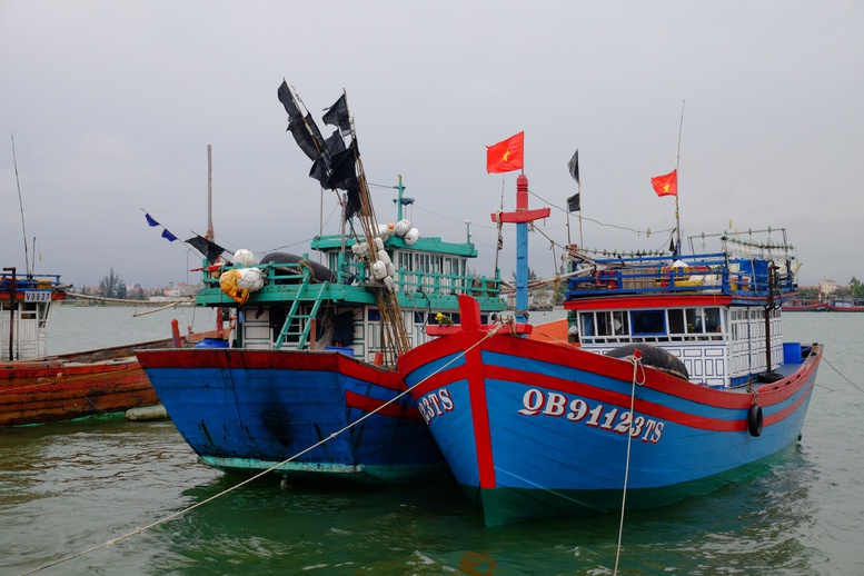 Quảng Bình: Tăng cường vai trò cấp xa, tuyên truyền, vận động ngư dân chống khai thác IUU - Ảnh 1.