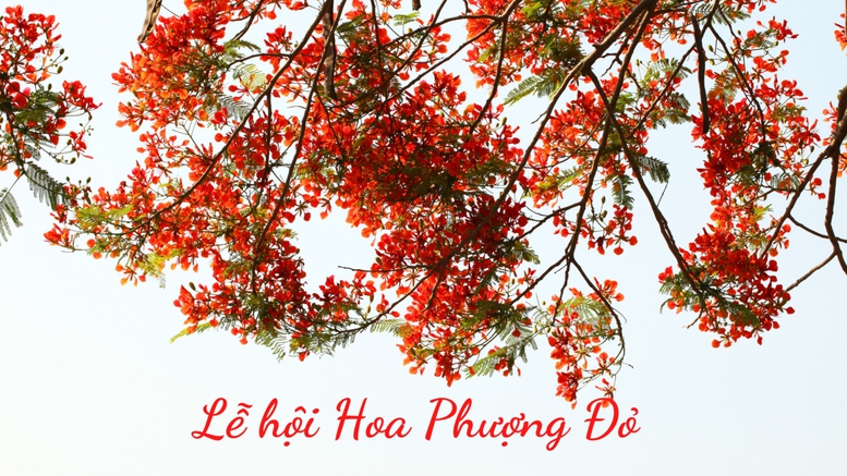 Lễ hội Hoa Phượng Đỏ 2023 “Hải Phòng – Tỏa sáng miền cửa biển” - Ảnh 1.