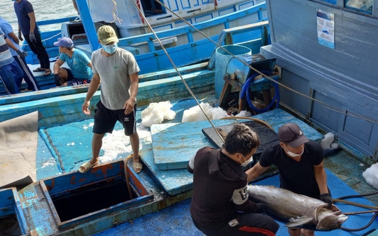 Quỹ hỗ trợ phát triển nghề cá Khánh Hòa hoạt động theo mô hình đơn vị sự nghiệp công lập