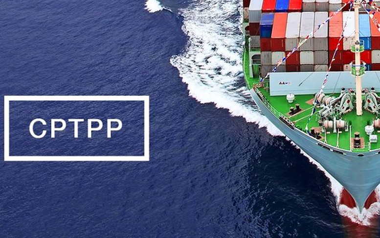 Bổ sung Malaysia và Chile được áp dụng thuế xuất nhập khẩu ưu đãi theo Hiệp định CPTPP - Ảnh 1.