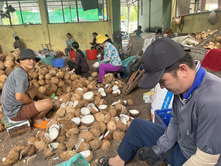 Quan tâm hỗ trợ việc làm, nâng cao nhận thức, phát triển năng lực khởi nghiệp cho thanh niên Bến Tre - Ảnh 2.