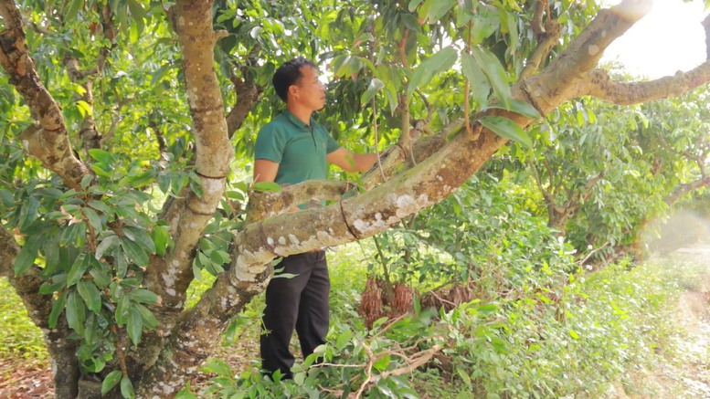 Bắc Giang: Khai thác tiềm năng du lịch nông thôn hướng tới phát triển bền vững  - Ảnh 2.