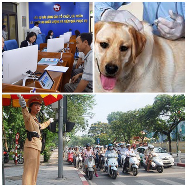 Chỉ đạo, điều hành của Chính phủ, Thủ tướng Chính phủ nổi bật tuần từ 17-21/4 - Ảnh 1.