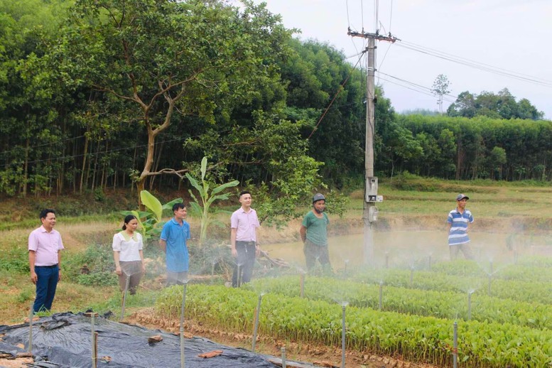 Tín dụng chính sách tiếp sức cho Tân Kỳ giảm nghèo bền vững - Ảnh 1.