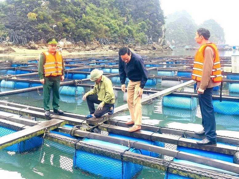 Chủ động, tích cực bảo vệ chủ quyền, an ninh biên giới biển - Ảnh 2.