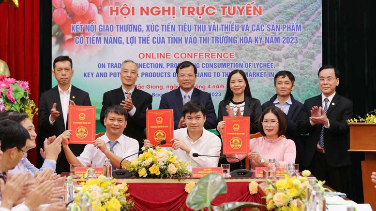 Bắc Giang: Phấn đấu xuất khẩu 1.500 tấn vải thiều sang thị trường Mỹ - Ảnh 1.