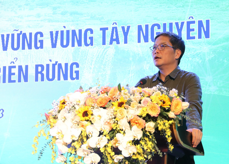 Phát triển kinh tế nông, lâm nghiệp xanh, bền vững vùng Tây Nguyên gắn với quản lý, bảo vệ và phát triển rừng - Ảnh 2.