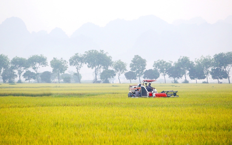 Thúc đẩy 'đại điền' trong sản xuất nông nghiệp