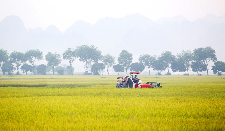 Thúc đẩy &quot;đại điền&quot; trong sản xuất nông nghiệp - Ảnh 1.