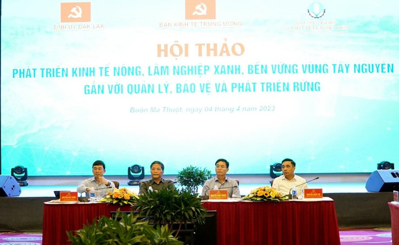 Phát triển kinh tế nông, lâm nghiệp xanh, bền vững vùng Tây Nguyên gắn với quản lý, bảo vệ và phát triển rừng - Ảnh 1.
