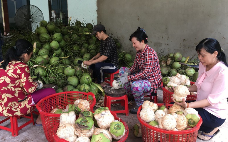 Bến Tre: Đảm bảo an toàn thực phẩm, nâng cao chất lượng nông lâm thủy sản