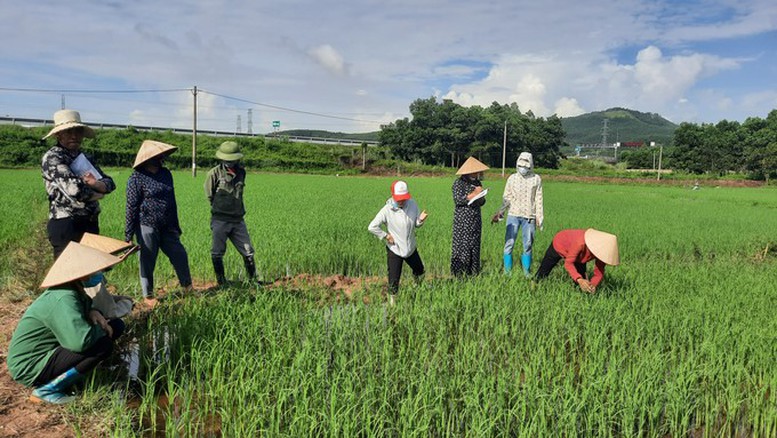 Đào tạo những chuyên gia quản lý sức khỏe cây trồng - Ảnh 1.