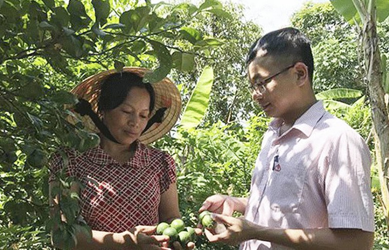 Tín dụng chính sách - tiền đề để Nam Đàn hướng tới nông thôn mới kiểu mẫu - Ảnh 2.