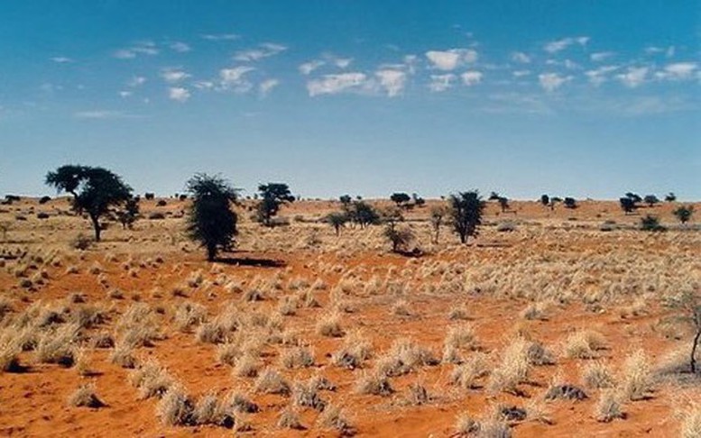 Thế nào là đất khai hoang?