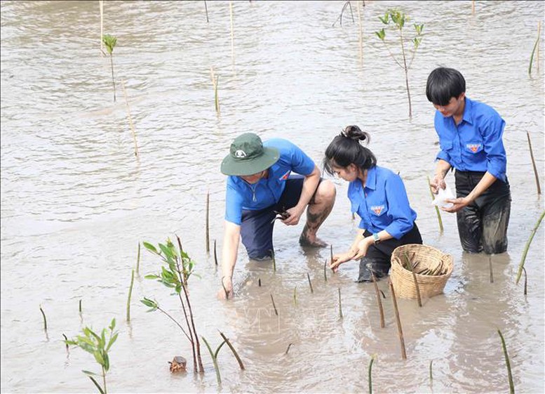 Phó Chủ tịch nước Võ Thị Ánh Xuân dự Lễ ra quân Chiến dịch Thanh niên tình nguyện hè - Ảnh 3.