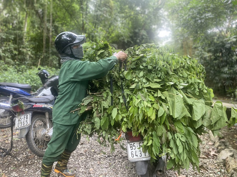 Cúc Phương: Trường học về thiên nhiên hàng đầu châu Á - Ảnh 6.