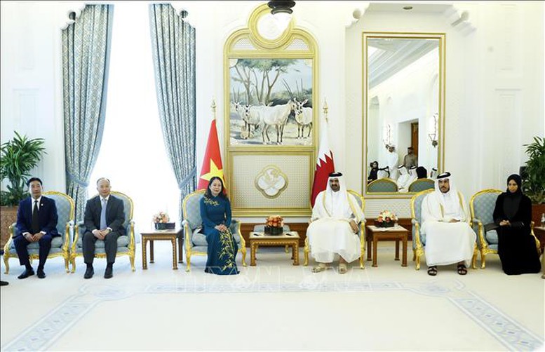 Phó Chủ tịch nước Võ Thị Ánh Xuân hội đàm với Phó Quốc vương Qatar Abdullah bin Hamad Al Thani - Ảnh 2.