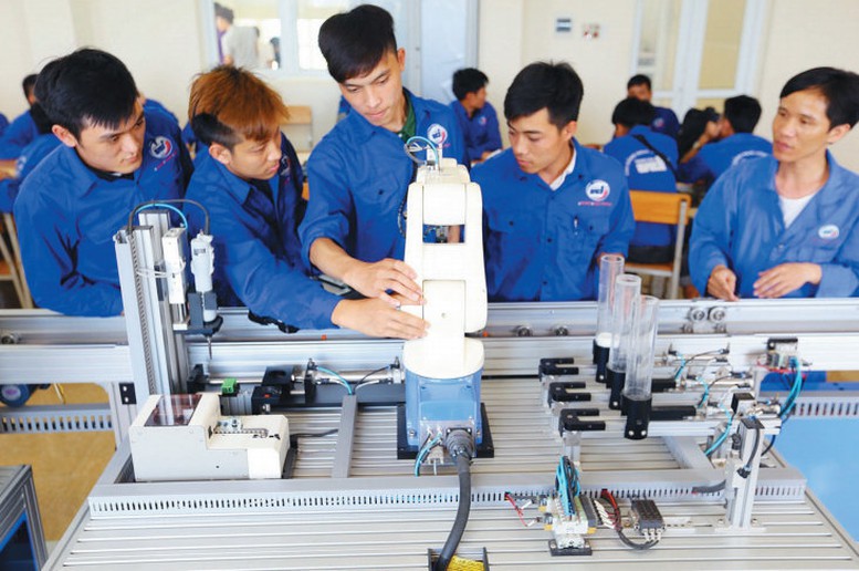 Cần chính sách việc làm đặc thù cho thanh niên - Ảnh 1.