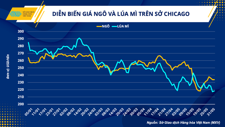 Giá nguyên liệu thức ăn chăn nuôi: Duy trì xu hướng giảm - Ảnh 1.