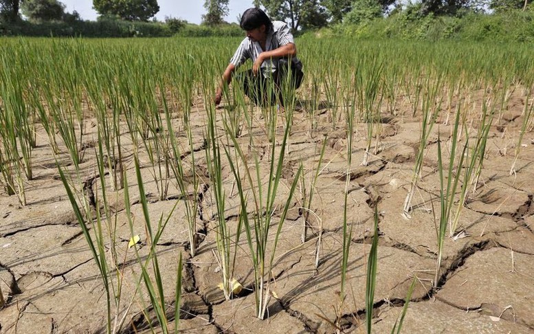 Hiện tượng El Nino đã xuất hiện: Hậu quả gì phía trước?