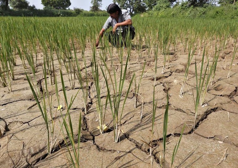 Hiện tượng El Nino đã xuất hiện: Hậu quả gì phía trước? - Ảnh 1.