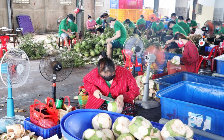 Bài 2: Để phát triển xuất khẩu bền vững các sản phẩm chủ lực xứ dừa