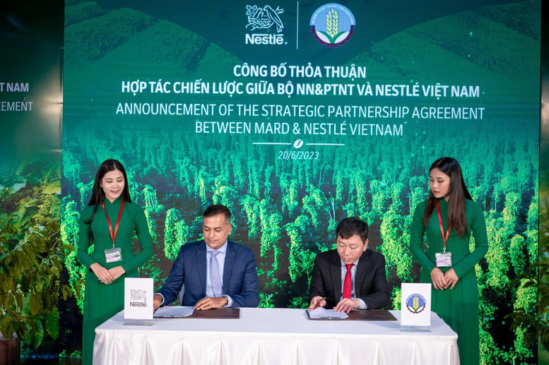 Nestlé và Bộ NN-PTNT hợp tác thúc đẩy nông nghiệp tái sinh và phát thải thấp - Ảnh 1.