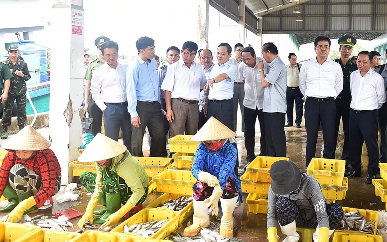 Phó Thủ tướng Trần Lưu Quang khảo sát tình hình khai thác hải sản tại Kiên Giang