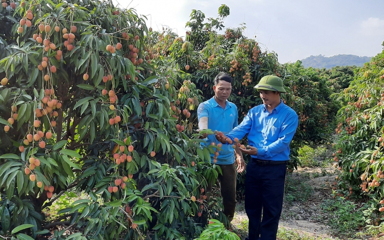 Phối hợp nhịp nhàng trong chuyển tải tín dụng chính sách xã hội