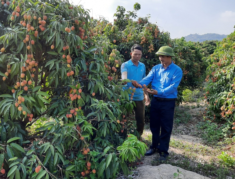 Phối hợp nhịp nhàng trong chuyển tải tín dụng chính sách xã hội - Ảnh 1.